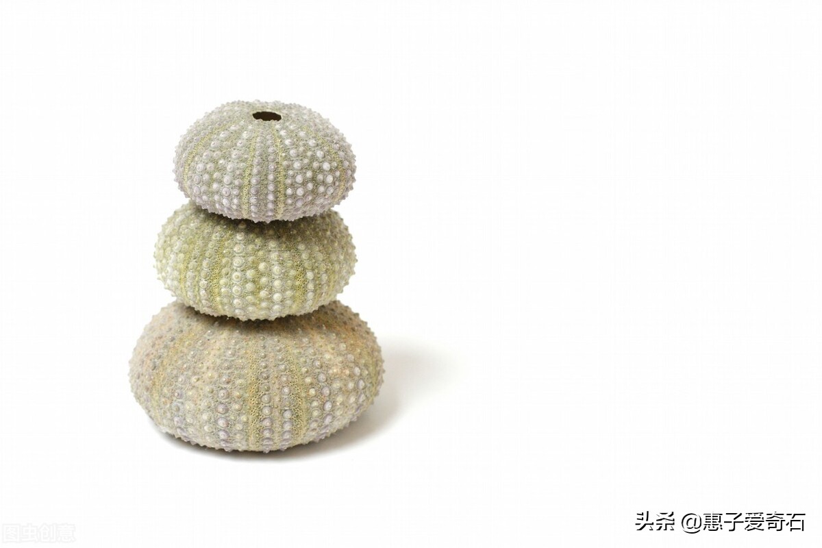 台湾稀世珍宝排名,台湾奇石精品图片