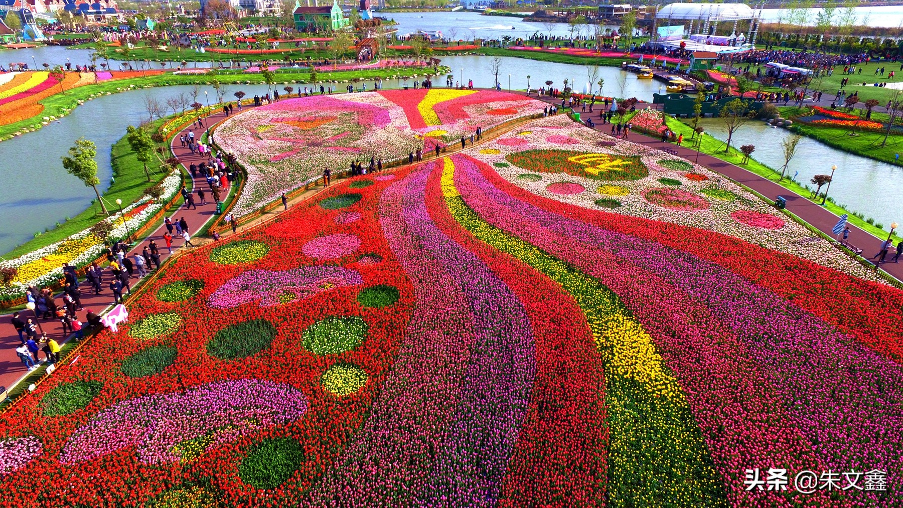 江苏大丰荷兰花海门票多少钱一张,大丰盐城荷兰花海