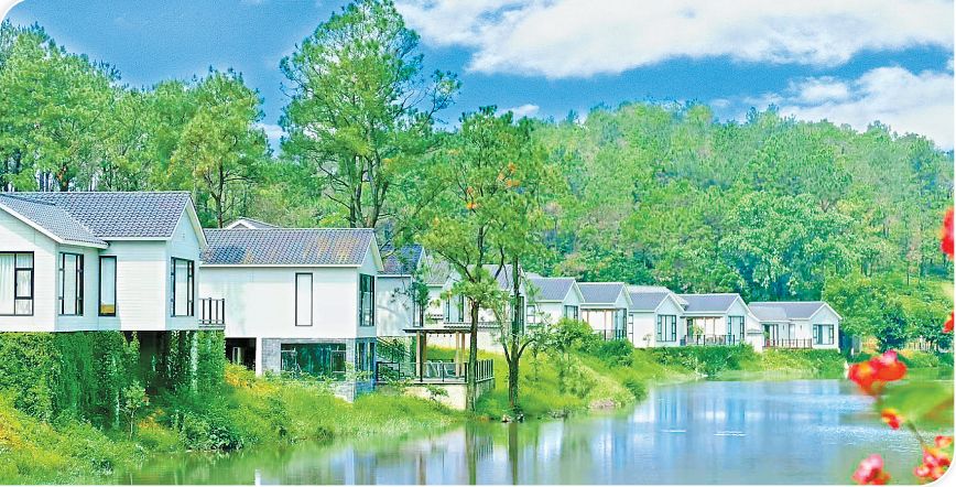 新兴县水台镇未来规划,新兴县水台镇2022年经济发展情况