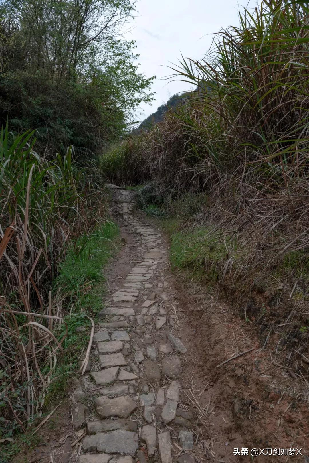 沪外游集：“华东香格里拉”-公盂村春季徒步