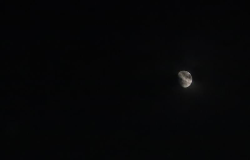 宁波社区杯直播,社区杯决赛直播