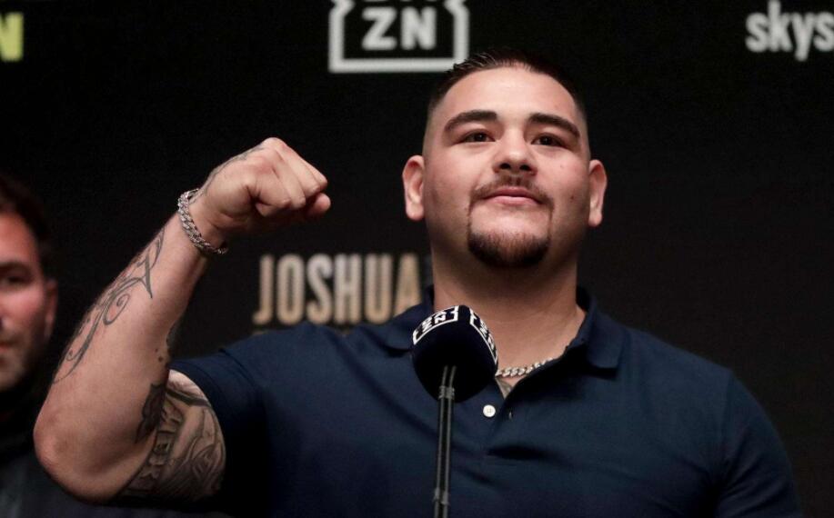 安迪鲁伊兹职业生涯战绩,安迪鲁伊兹现役