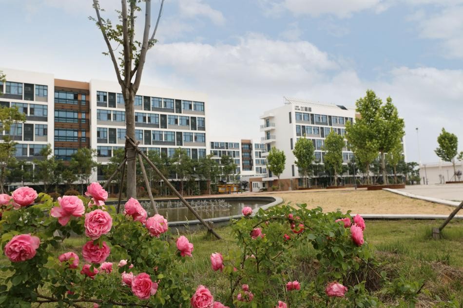 青岛幼儿师范高等专科学校管理,青岛幼儿师范高等专科学校官网