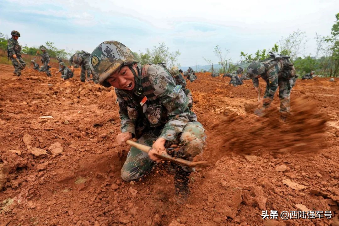 定向士官几次考核,定向士官多久进行一次体能考核