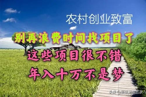 想在农村做什么生意比较好创业,农村创业做什么回本快些