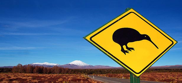 新西兰注册公司有什么用,在新西兰成立公司条件