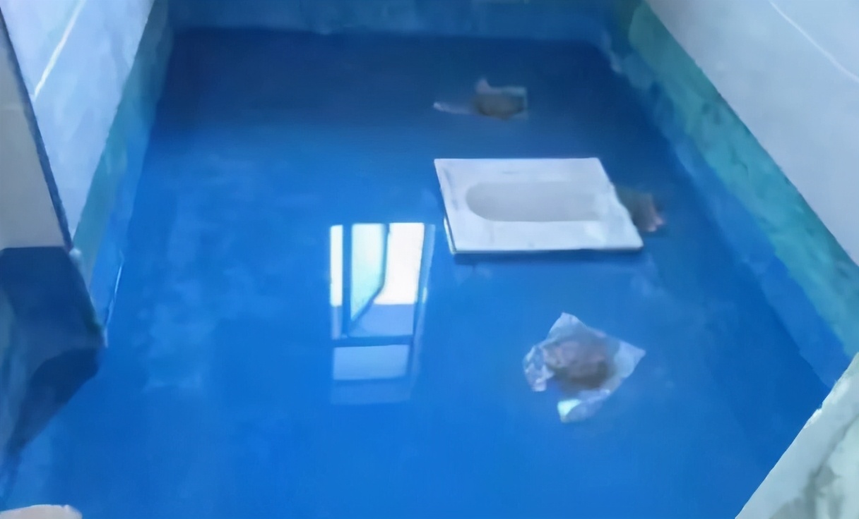 泸州百合居装饰靠谱吗,成都百合居装饰靠谱吗