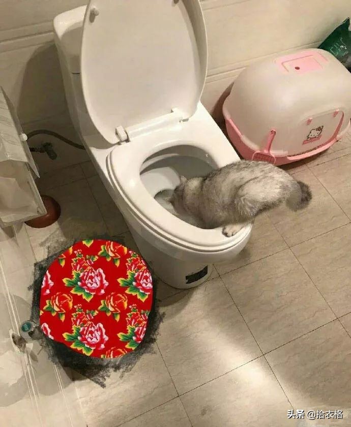 女生一定要穿安全裤吗,女生关于安全裤的重要性