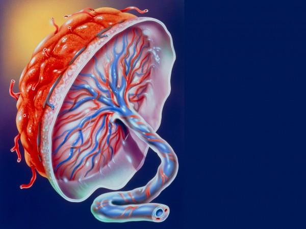 子宫内膜炎症是什么,妇科盆腔炎子宫内膜炎什么症状