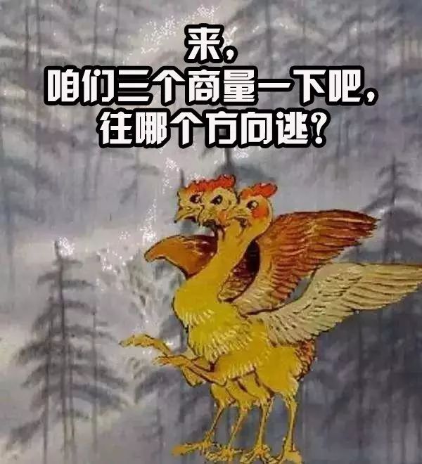 舌尖上的山海经全部视频,舌尖上的山海经洞庭鱼