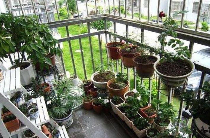 阳台小怎样利用空间种花,阳台空间小怎么养多肉