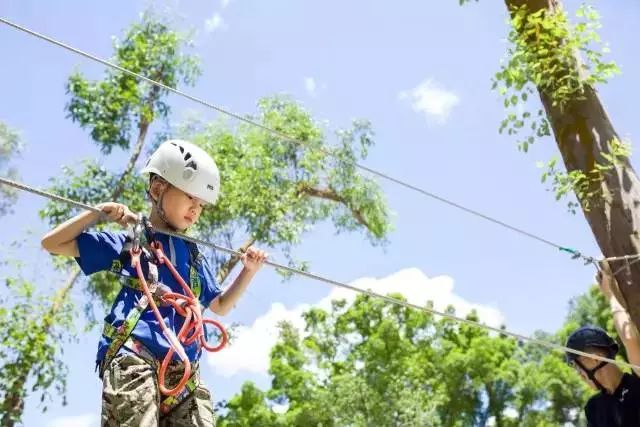 深圳~49.9抢购可拉熊黄线挑战~带上孩子去森林探险、释放心中激情