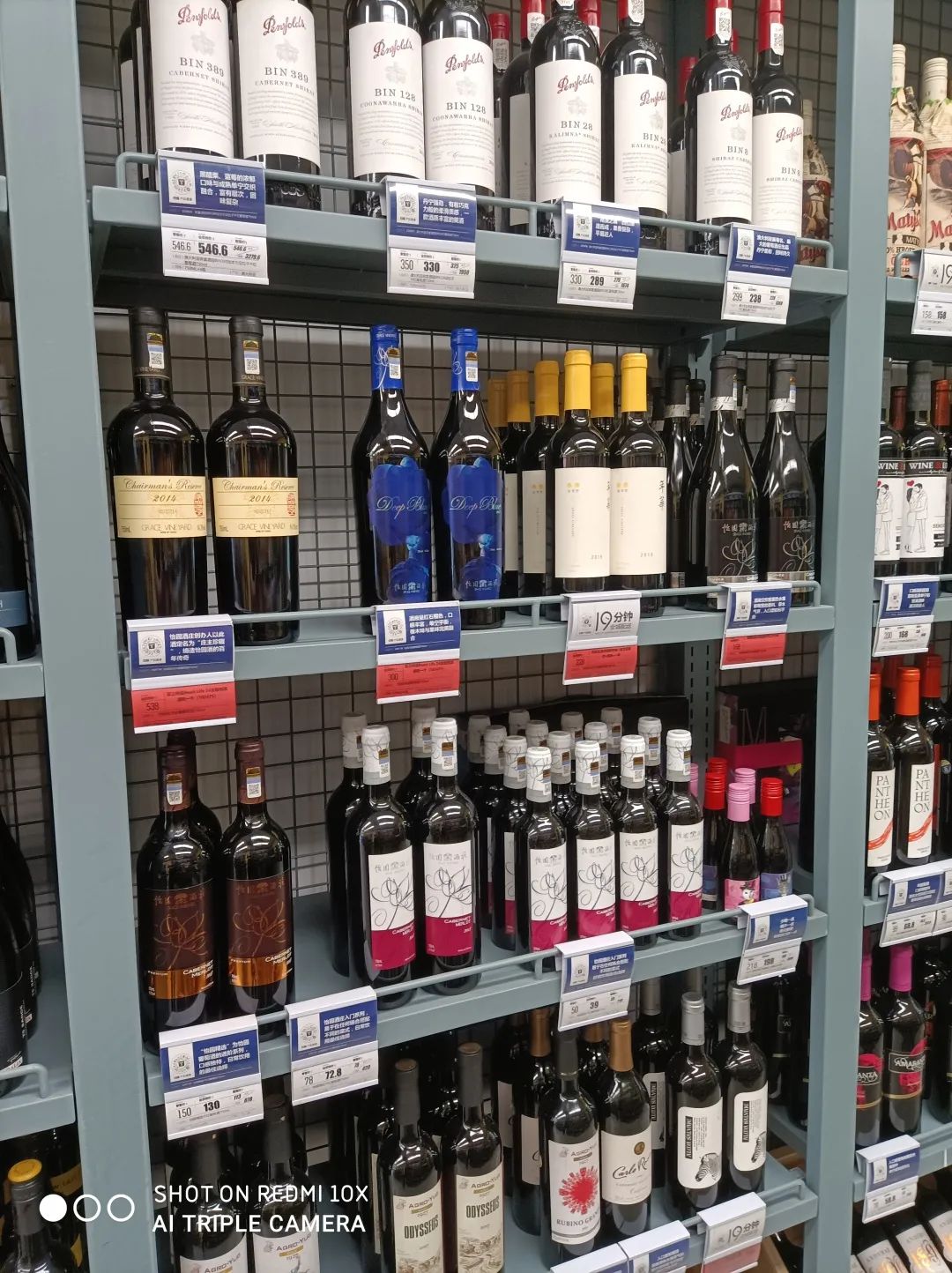 鍚屽煄閰掑簱鎬″洯,鎬″洯閰掑簞搴勪富鐝嶈棌绾㈣憽钀勯厭