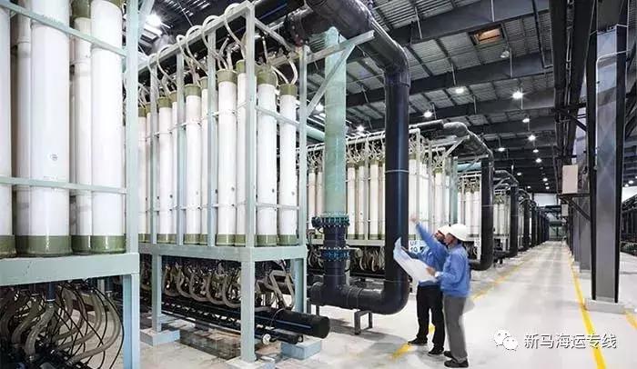 最近几年大火的品牌,这些国货品牌竟然火到了国外