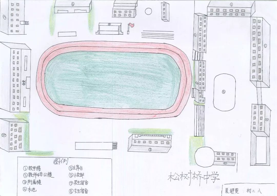 重庆渝北区松树桥中学简介,重庆松树桥中学2021