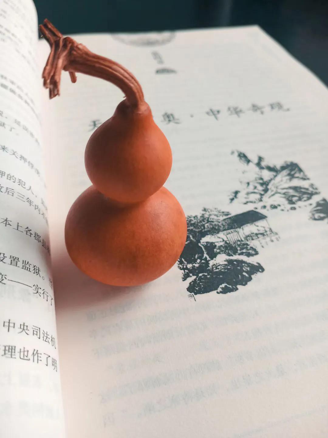 葫芦虽小藏天地，伴我云云万里身