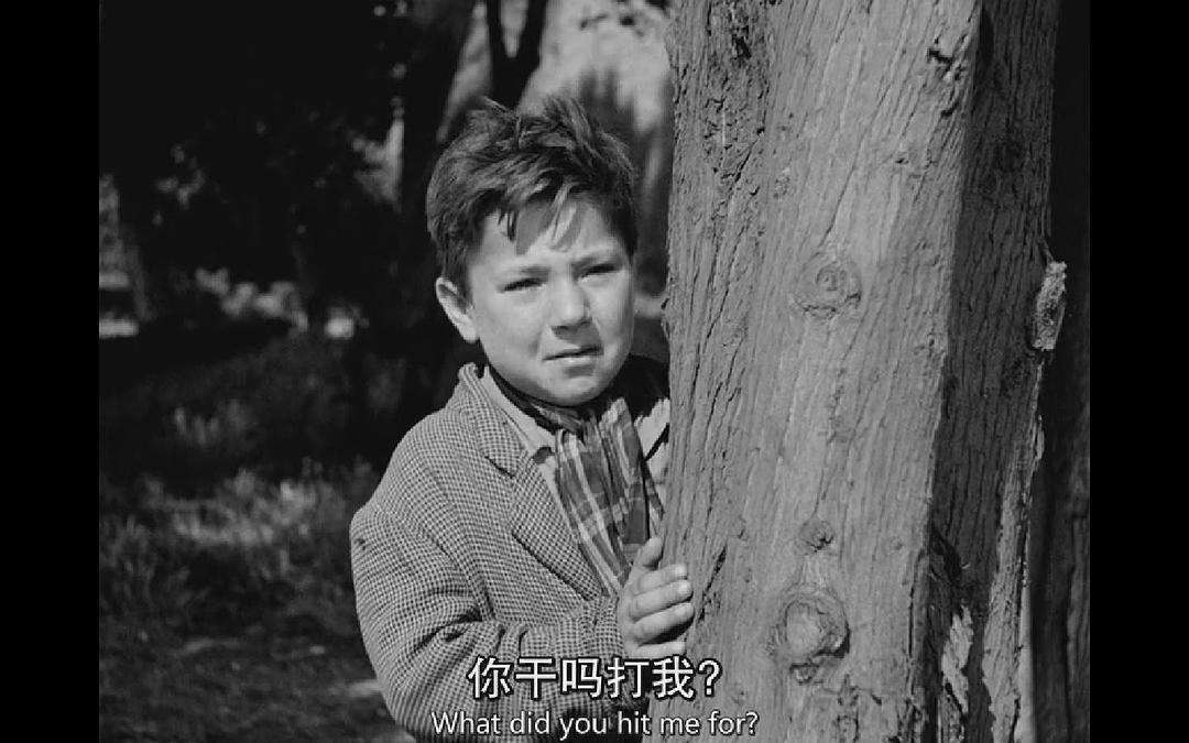 偷自行车的人的下场,偷自行车的人现实主义