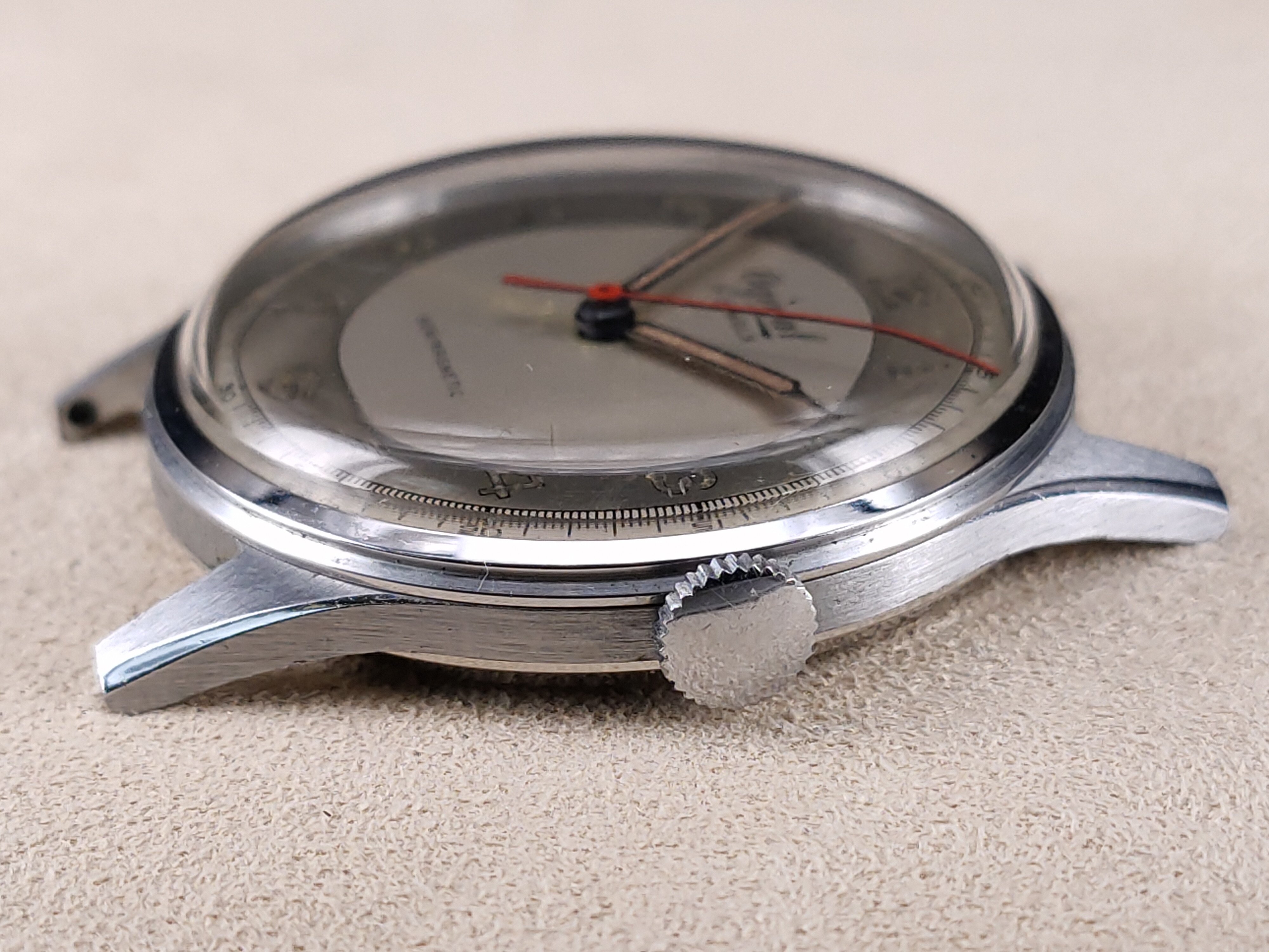 因为一条鱼爱上一个人,因一条鱼丢了一条命