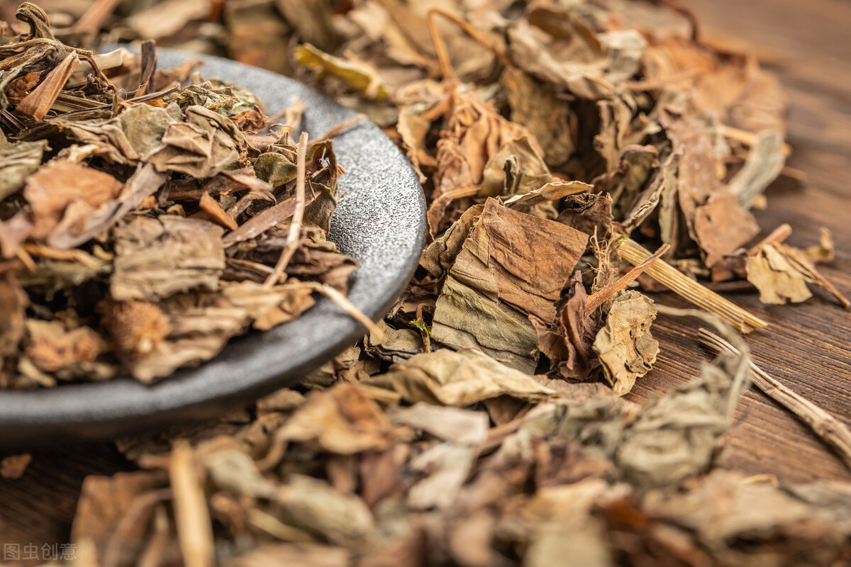 鱼腥草紫花地丁合用解毒排脓效果,常见清热解毒的中药鱼腥草