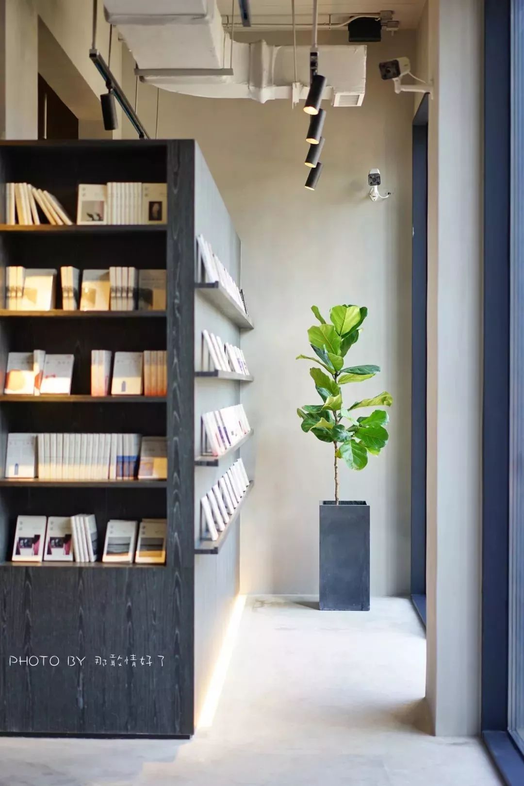 北戴河阿那亚属于哪个镇,北戴河阿那亚值得去吗