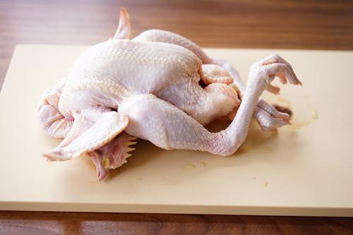 新鲜松茸菇炖鸡最佳做法,教你做松茸炖鸡汤