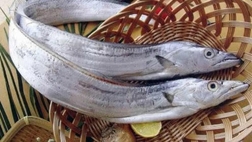 夏天吃什么海鱼最好吃,哪些海鱼好吃又便宜又好养