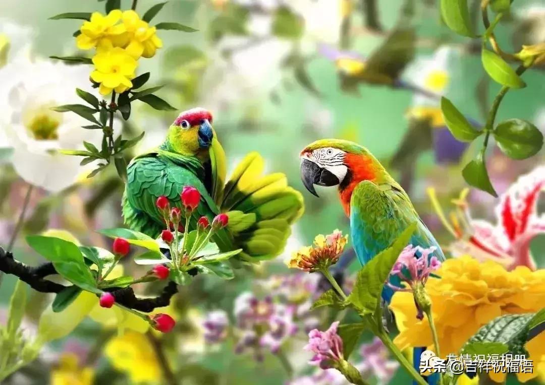 短短几字句句戳心,写得好的经典的句子