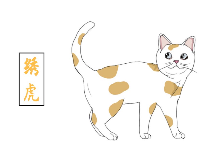 你养的猫在古代都叫什么名字,想知道你家猫在古代是什么样子吗