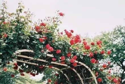 跳跃的乐章,跳跃的旋律原唱