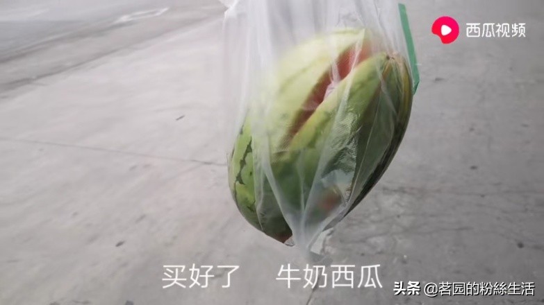 洛阳古都氛围感视频,洛阳古都风情介绍