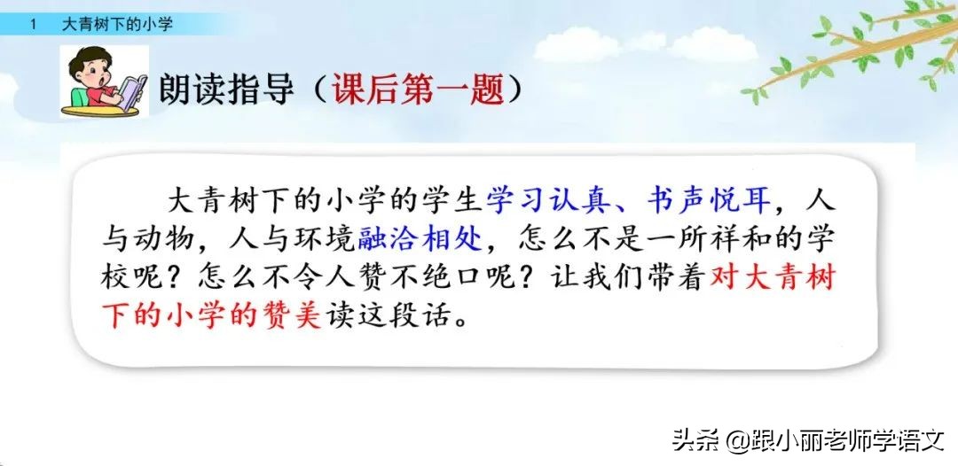大青树下的小学重点知识点,大青树下的小学重点知识梳理
