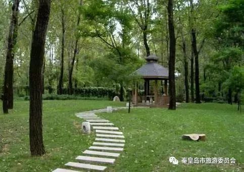 秦皇岛最美骑行线路图,摩托车骑行秦皇岛