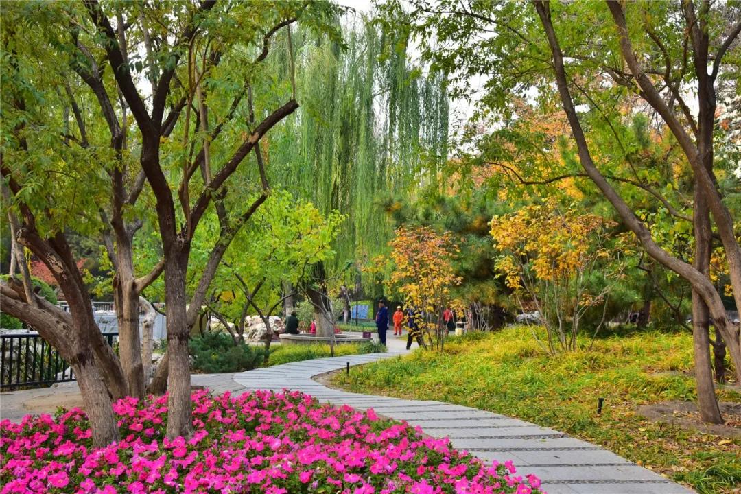 漫步西城|沿着千年时光的脉络,遇见广内~