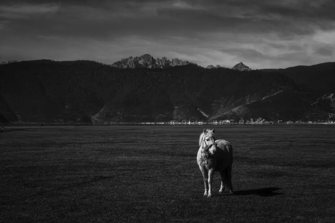 调色没思路有哪些问题,调色没有思路怎么办
