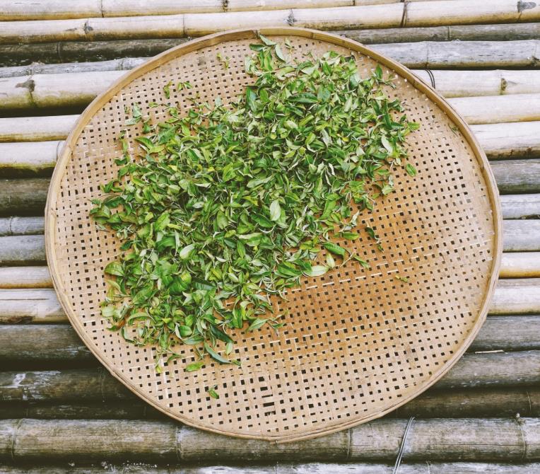 云南哪个少数民族以黑胖为美,云南少数民族充满野性的美