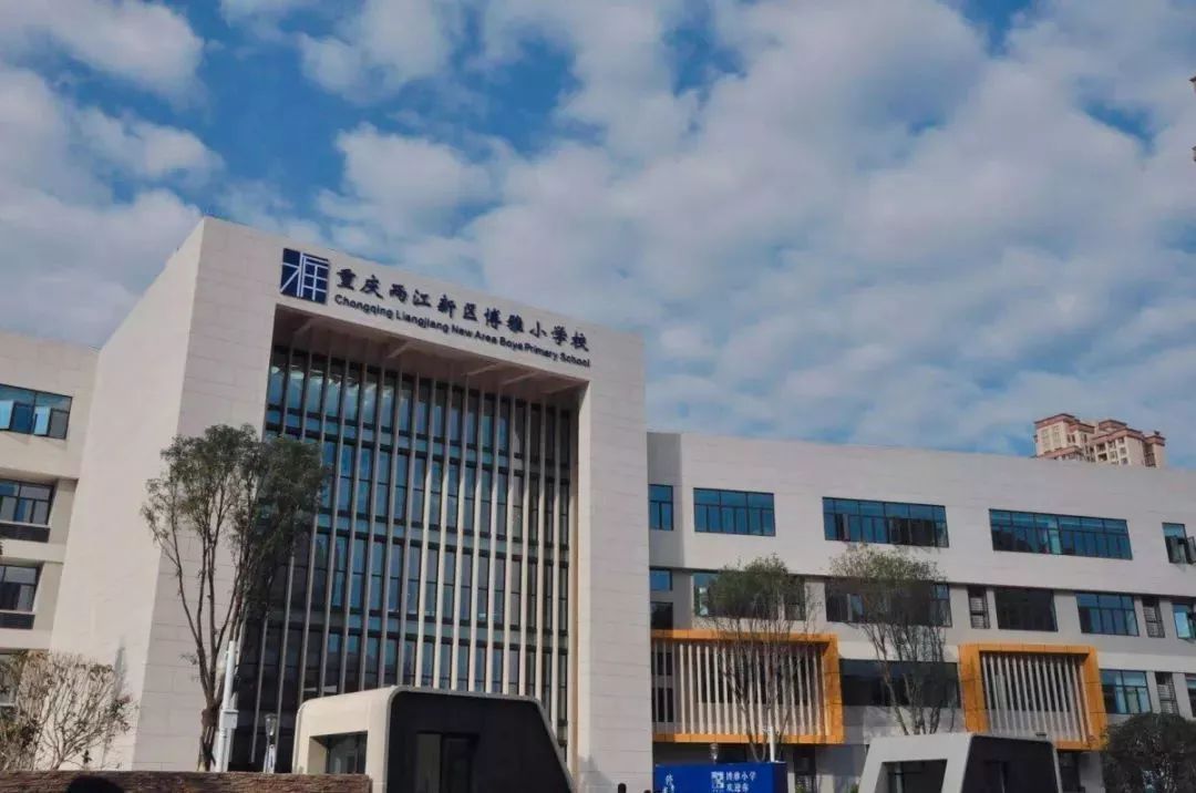 重庆哪个板块教育好,重庆学区最好的片区