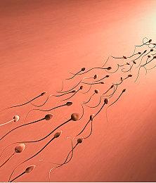 精子淤积是怎么造成的,精子逆流有什么办法