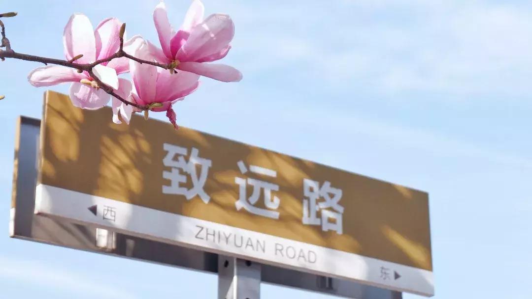 中南路事件,关于中南的那些事短剧