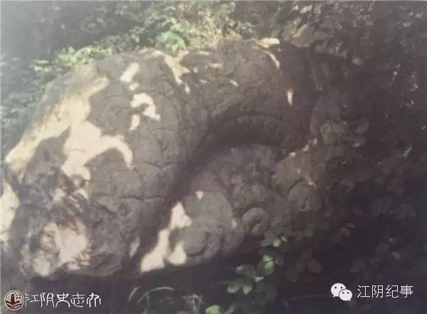 敖丙龙族为什么在天庭地位不高,史上最惨的龙族敖丙