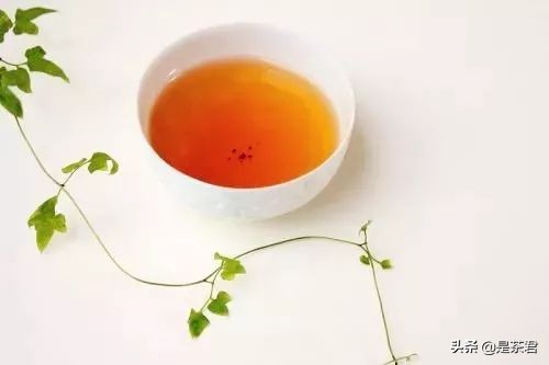 12星座喜欢喝什么样的茶,神准星座