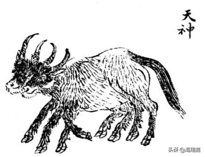 山海经西山经全集,山海经第二部分全文