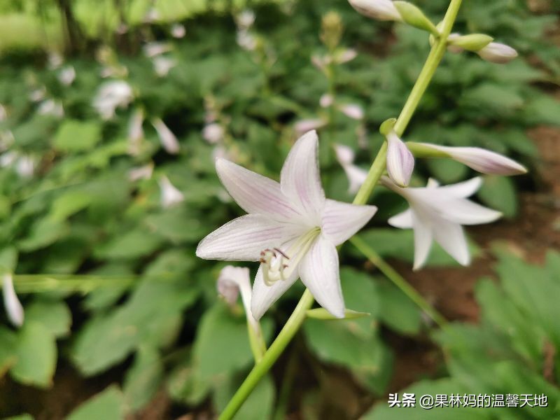 以娃的名义折腾家长怎么解决,以戏弄为目的逗孩子