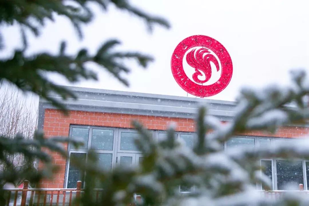 民办学校大连艺术学院全国排名,大连艺术学院辽宁排名