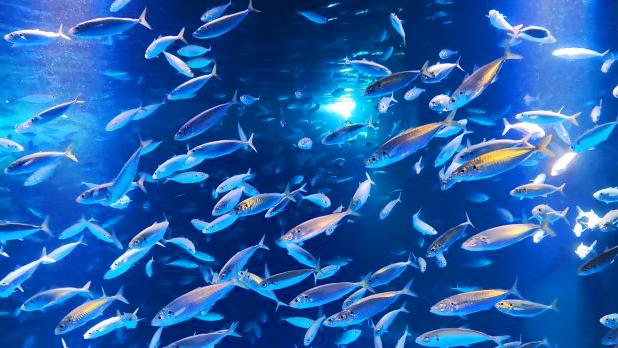 来南京一定要做的50件小事,在南京这个月可以做的12件小事