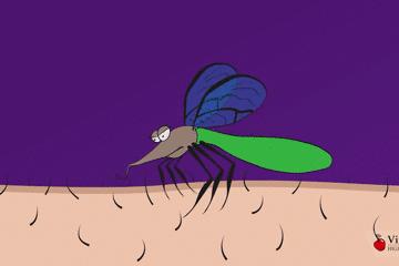 蚊子灭蚊神曲,驱蚊神曲2首