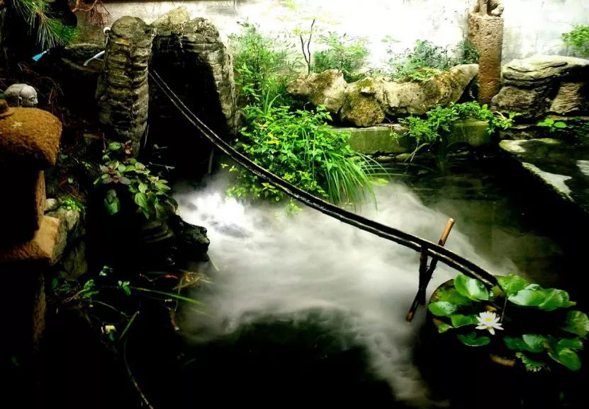 春游江淮请您来｜【安徽文旅系列品牌】2019年度安徽省百家精品民宿：黄山篇