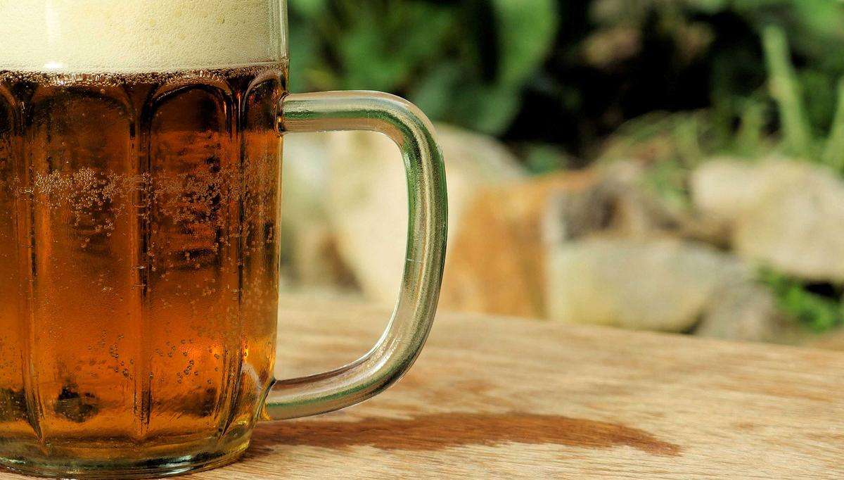 用什么叶面肥叶片黑又亮,养护叶片最好的叶面肥