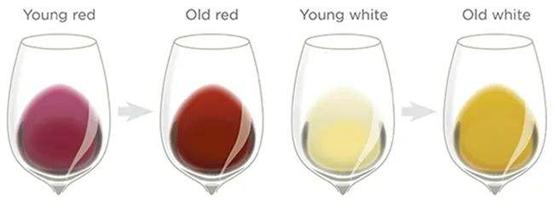 葡萄酒的十大尴尬问题,葡萄酒的十二种缺陷