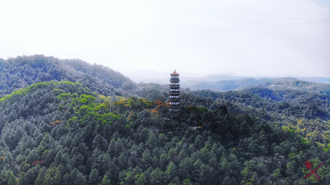 广东人过年必吃的青菜,广东人年夜饭必有的一道菜