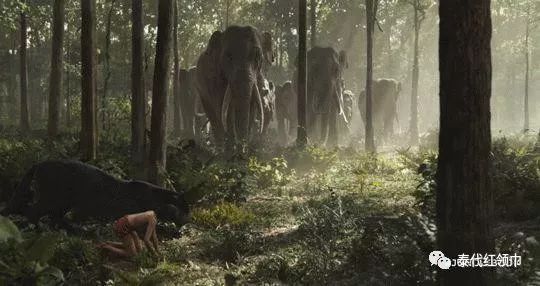 青草膏四季通用,滋润修复青草膏